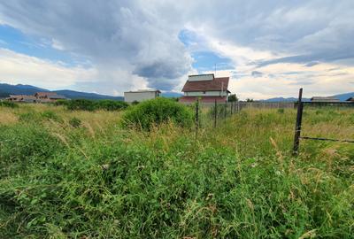 Teren rezidential Brasov – Cristian zona de case - 2