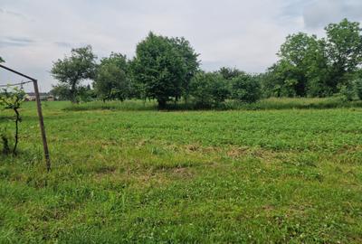 Casa la 5 km de Targu-Neamt - cu iaz si livada matura - gata pentru mutat - 7