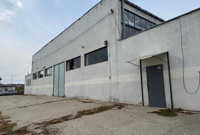 Propietate Industriala in spate la Dedeman - Str. Pades - 1