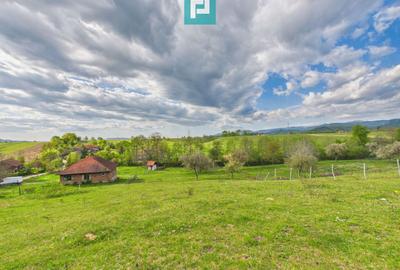 Casă cu teren de 17.681 mp, în loc. Hălmăgel, Arad - 25