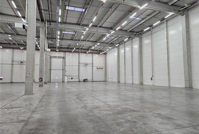 Spatiu Industrial - 3200 mp - Logistica - Depozitare - Distributie - 7
