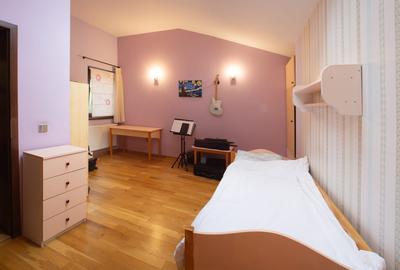 Reprezentare exclusivă · Casa dintre magnolii, Făget · 1.343 mp lângă pădure - 17