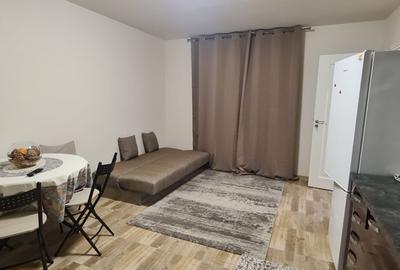🏡 Apartament cu 1 cameră de închiriat în Ghiroda – 250 €/lună - 3