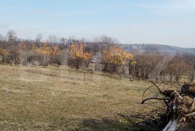 Teren Construcții intravilan de 3360 mp, în Aninoasa