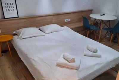 Garsonieră nedecomandată, mobilată în P-ța Alba Iulia