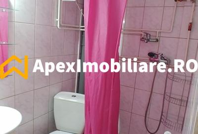 Apartament 2 camere de inchiriat Parcul Carol București | ApexImobiliare.ro - 11