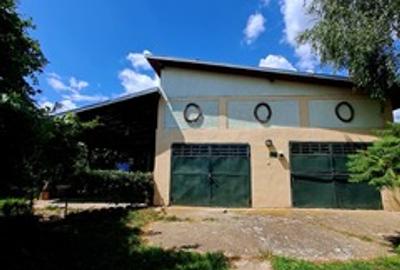 Vanzare vila P+1+M cu 5 camere, casa batraneasca , 2 garaje, teren 9249mp, - 23