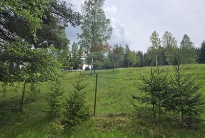 Teren agricol extravilan de 5034 mp, în Iacobeni