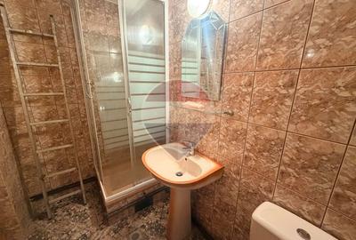 Leamna de sus, casa cu piscina, 2000mp - 22