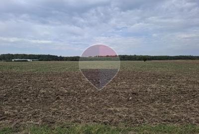 Investitie vanzare teren intravilan 26.666mp la DN3| Vizavi de Makita| - 6