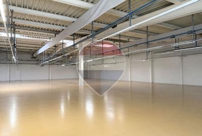 Spațiu industrial de inchiriat Cluj-Napoca - 1