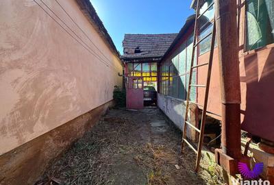 CASA INDIVIDUALA CU CURTE SI GRADINA 260 MP- TEREZIAN/TIGLARI - 13