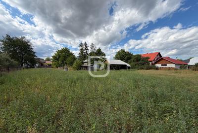 Casa + 1.600 MP teren Intravilan – Băișești | Aproape de Școală - 9
