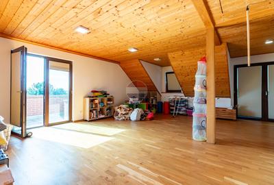 DOMENIU de 5,9 ha I Lac, Casă și Aerodrom – multiple destinații - 32