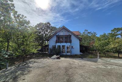 Casa P+1 din lemn - Mihailesti - 6