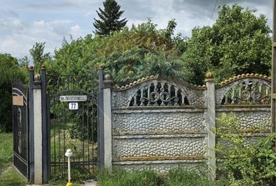Domeniu rural, gospodarie/multifunctionala cu casa, livada, vie - 49