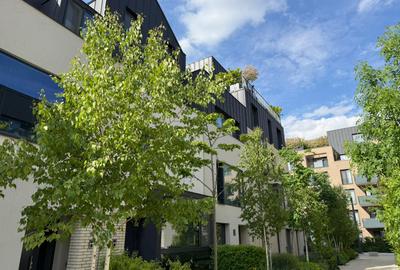 Inchiriere - townhouse - vila 6 camere - Avalon Estate - Pipera - 24