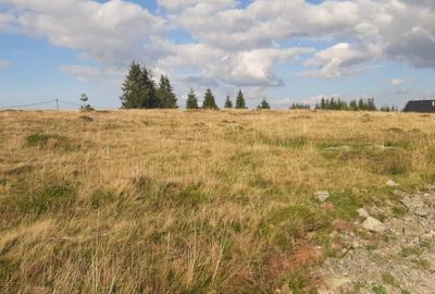 Teren Construcții intravilan de 1000 mp, în Beliș