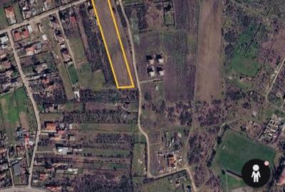 5.900 mp pentru Dezvoltare Rezidențială – Str. Polonă, Periș - 8