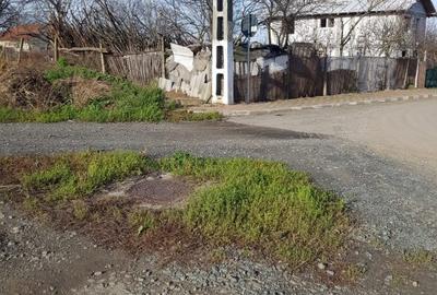 Pentru afacerea ta 6 luni gratis Parc Logistic Tuzla - 6