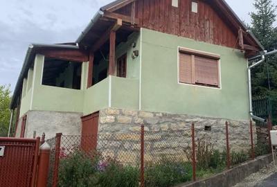Casă țărănească autentică de vânzare în Sâncraiu - 3