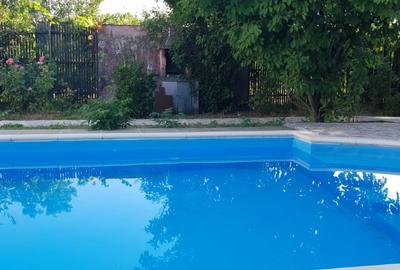 Vila Snagov, p+1,150mp, 3 dormitoare,aer conditionat,internet,cablu tv, piscina - 3