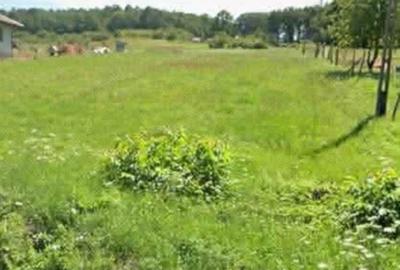 Teren intravilan 40 ari in Samsud-Salaj 1650eur/ar neg - 2
