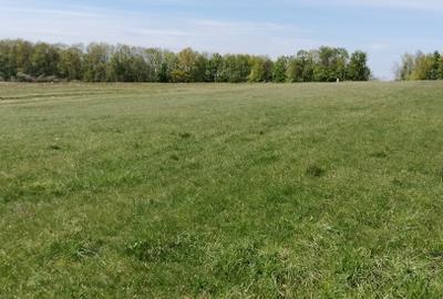 Teren extravilan 7.200 mp Bordea - Grajduri/ Oportunitate Investiție - 1