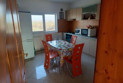 Casa individuala cu toate utilitatile -Balta Verde ,jud.Dolj. - 3