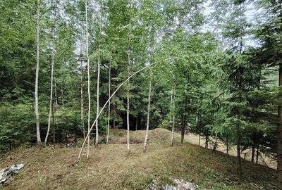 Casa de vacanta nefinalizata (Gheorgheni, zona Magasbukk, km 5) - 20