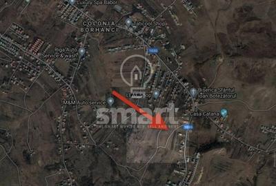 Teren intravilan de 1000 mp, în Borhanci