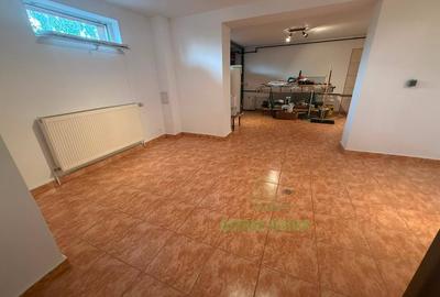 Vila D+P+1, 5 camere, 150 mp utili + demisol, teren 300 mp, aproape de Palatul M - 16