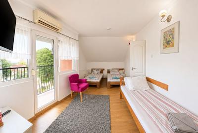 Afacere funcțională - Sală de Evenimente–Motel – Loc. Valea lui Mihai - 25