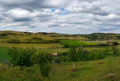 De vânzare  Casă de vacanță cu teren de 4.453 mp | Cojocna - 17