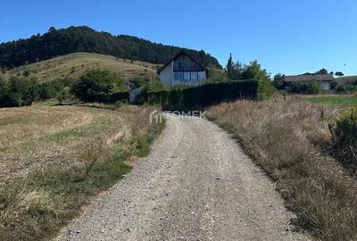 Teren intravilan Sanpetru Lempes str Dealului - 8