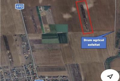 Teren agricol extravilan de 19862 mp, în Sânandrei