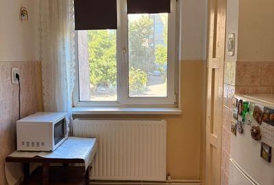 Apartament 2 camere– Lăpușneanu / Satul de Vacanță - 7