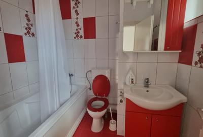 Casa solida in Viile Satu Mare finisata ocupabila - 9