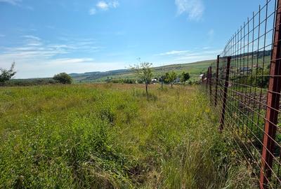 Teren intravilan 3.834 mp Babutiu | Panorama superba mai putin de 20 km de Cluj - 8