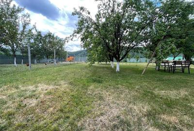 TEREN INTRAVILAN 8000 MP | PARTIAL IMPREJMUIT | PESTERE | BIHOR | - 1