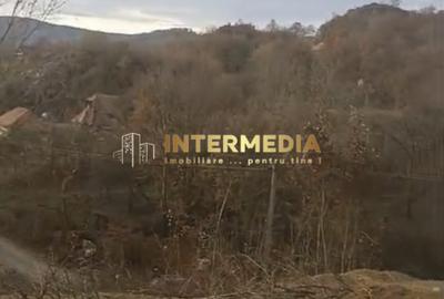 TEREN Intravilan 1257 mp Liziera Pădurii Meteș Platou Cabană la 15 km Alba Iulia - 3