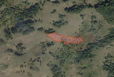 Portofoliu funciar de peste 10 hectare | Izbuc - Carpinet | Jud. Bihor - 4