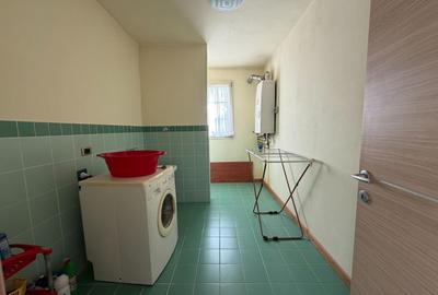 Casa cu teren 10.000mp si foarte multe posibilitati - 16
