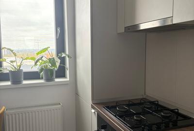 Inchiriere apartament 2 camere Hils Brauner- 1 decembrie liber - 32
