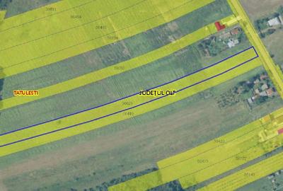 Teren agricol extravilan în Tătulești