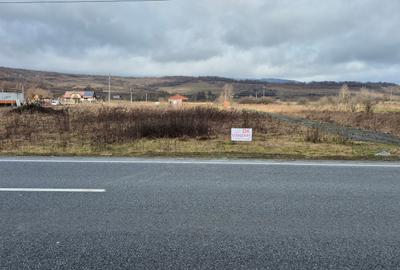 Targu Lapus teren intravilan de vanzare - 4