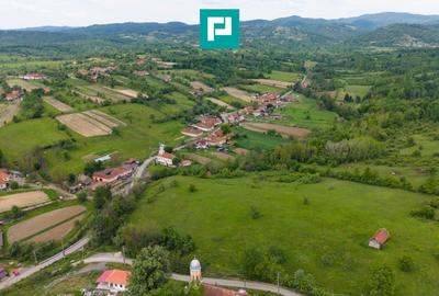 Proprietate de poveste pe Valea Mureșului, Lupești - 6