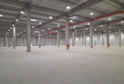 Spatiu productie Timisoara Nord TIM6 A - 3