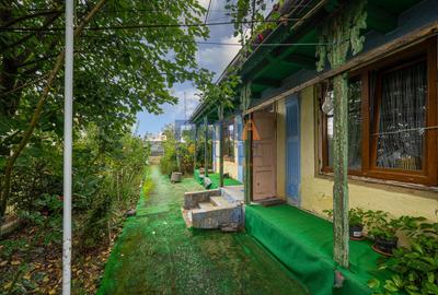 Casă interbelică + 3.060 mp intravilan, Trifești, 7,9 km de Roman - 15