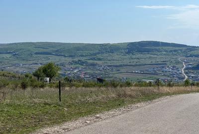 Teren extravilan de vanzare, 5800 mp, zona Chinteni - 2